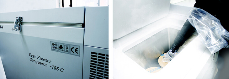 NOBUNAGA Labs PREMIUM :: 大千鳥（おおちどり）