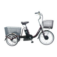 PELTECH TDR-163L ペルテック 前20型後16型ノンパンク電動アシスト