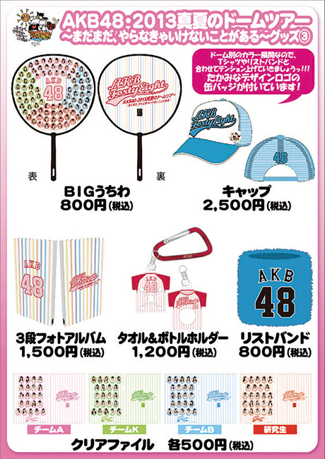 AKB48公式サイト | AKB48・2013真夏のドームツア－
