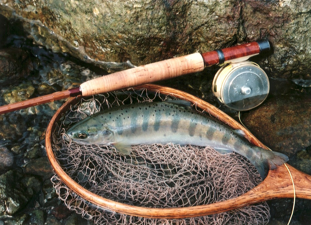 Anglers Paradise【フライフィッシングショップ アングラーズ