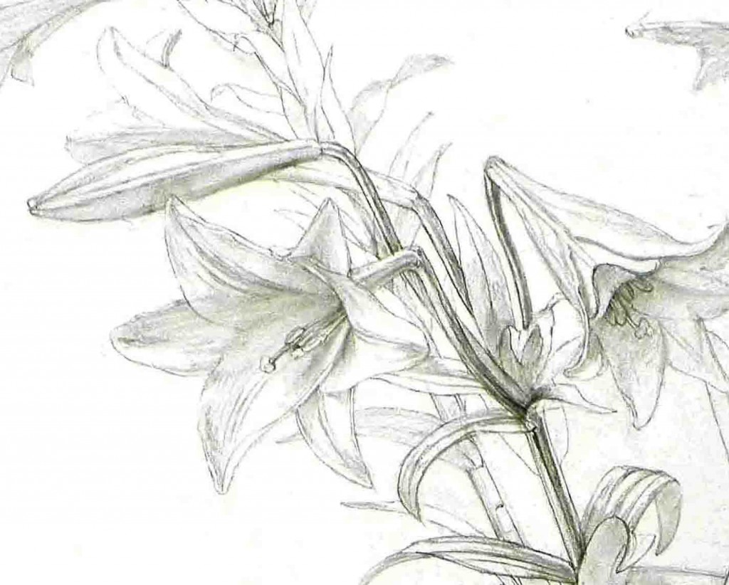 19 | 3月 | 2014 | ena美術ブログ