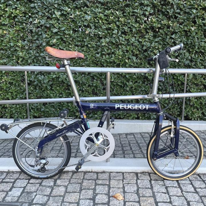 Peugeot Pacific-18 (Birdy) Navy ハンドルステム軸交換 - Column@nak