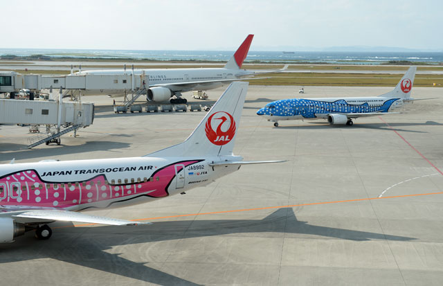 さくらジンベエはガールフレンド 写真特集・ジンベエジェット2号機