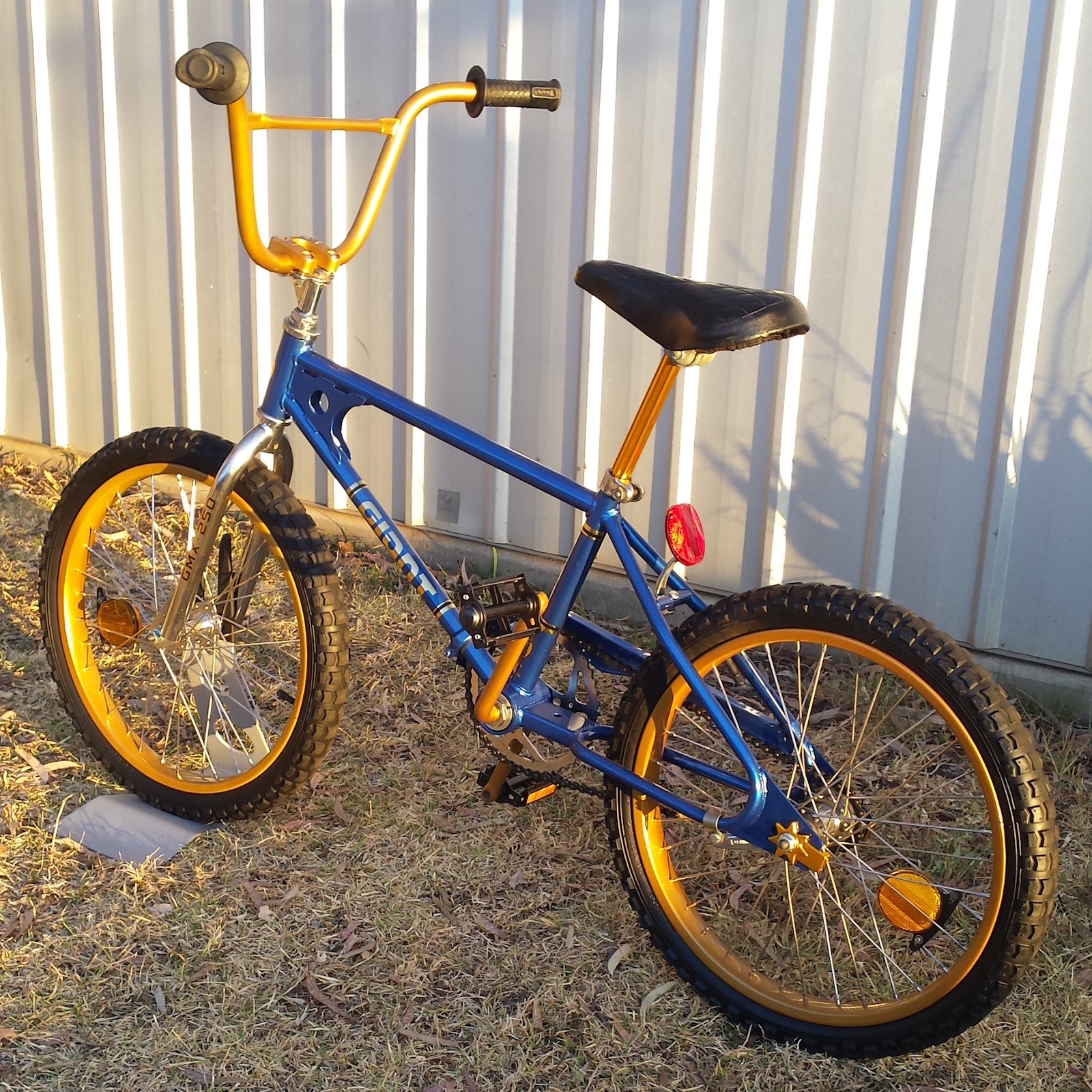 Blogging a Dead Horse