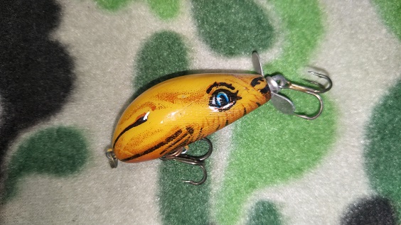 オールドルアー | カーティスクリーク