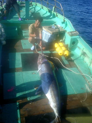 株式会社 カーペンター ルアー 釣り GTフィッシング 黒鮪 マグロ