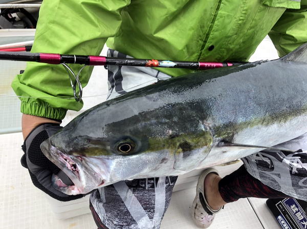 KLL/MODEL.031A フランスパンjr 50-150 カーペンター 【公式通販】