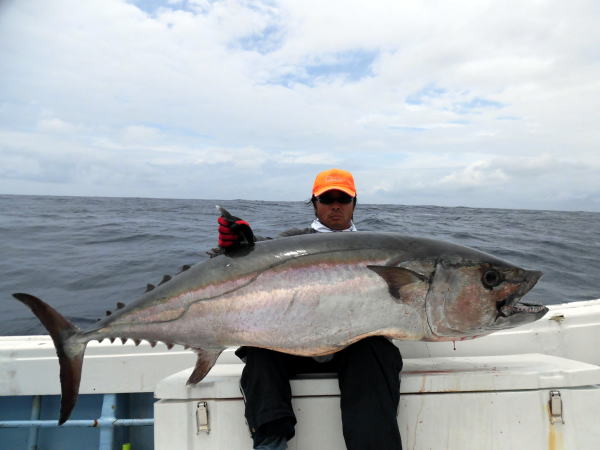 カーペンター SLP80／33 シーレパード