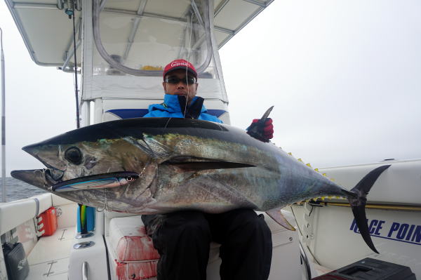 カーペンター SLP80／33 シーレパード