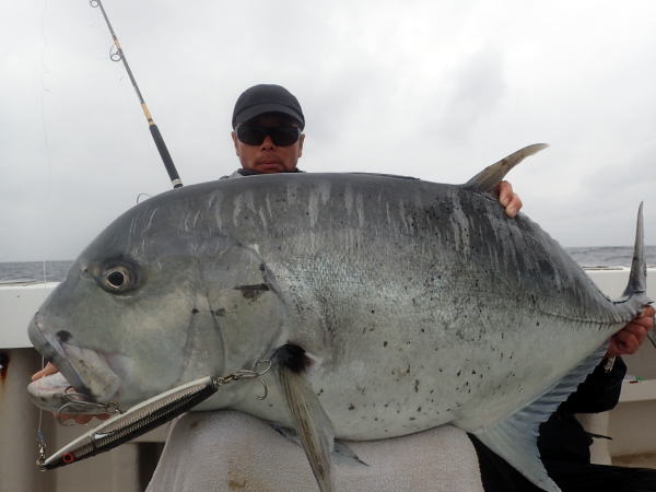 カーペンター SLP80／33 シーレパード