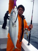 ブルー チェイサー BLC