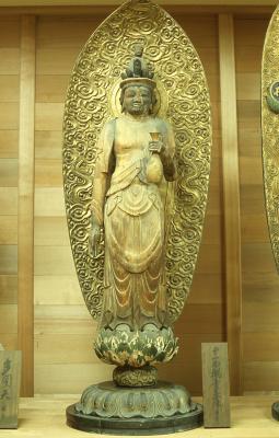 7ページ／貝塚市