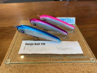 パドルベイト｜ローカルスタンダード｜販売商品｜Costa｜Costa Fishing