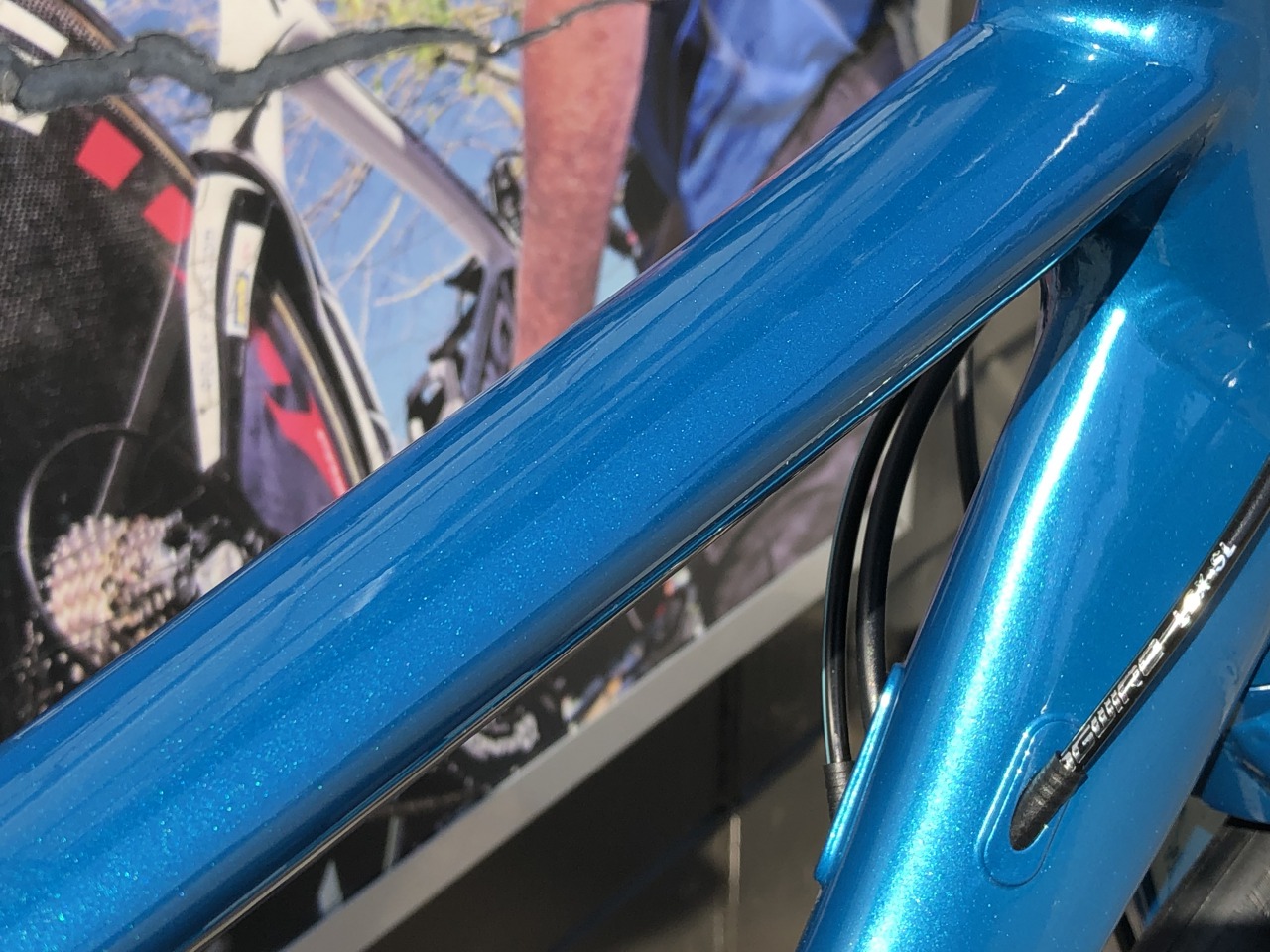 2021年モデル Bianchi ROMA3 入荷しました！ | Climb cycle sports