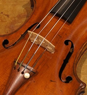 ダ・ヴィンチ・ヴァイオリン ヴァイオリン 商品一覧