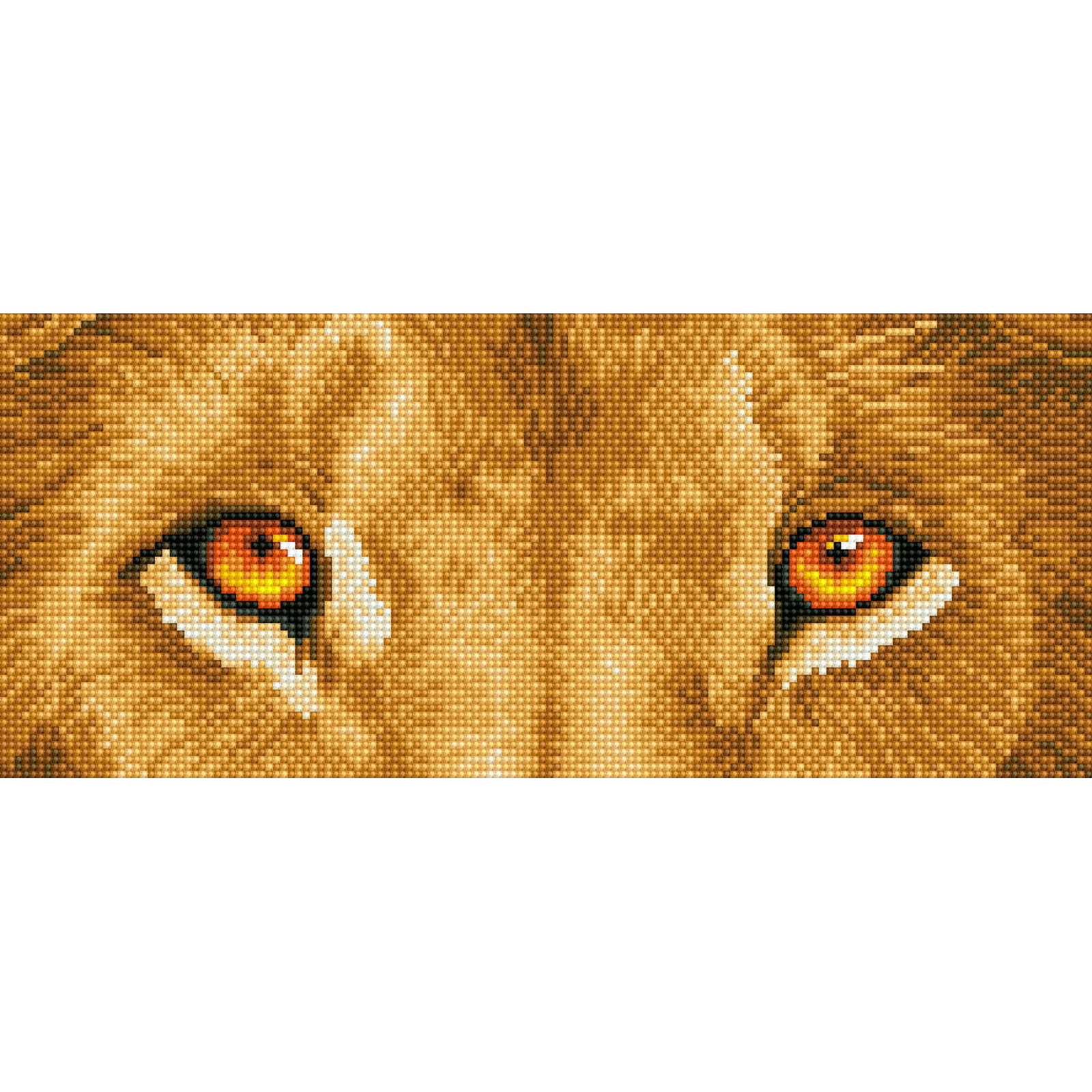 Lion Spy | Diamond Painting Kit Lions| Diamond Dotz – DIAMOND DOTZ