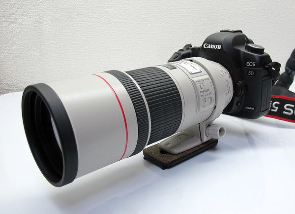 野鳥写真研究室: 【野鳥撮影 海外ツアー】 サブ機の活躍 ⑦