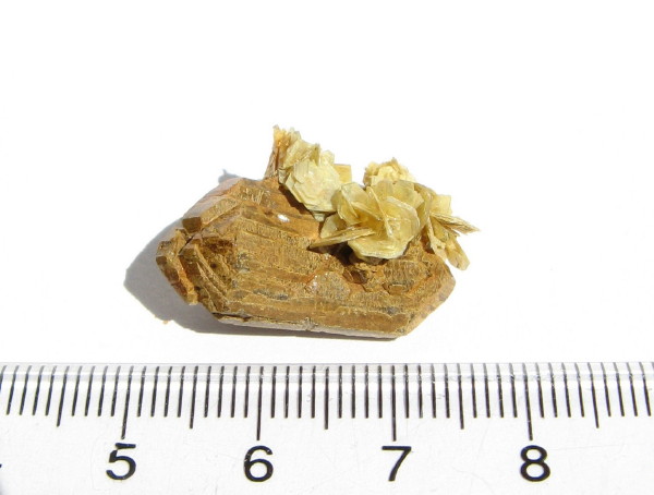 チルドレナイト原石 - ガリンポ