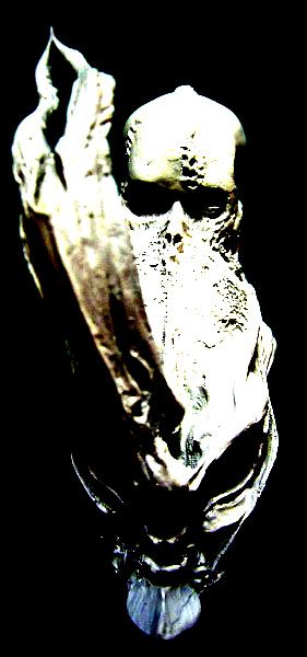 エローシブガイバー 竹谷隆之