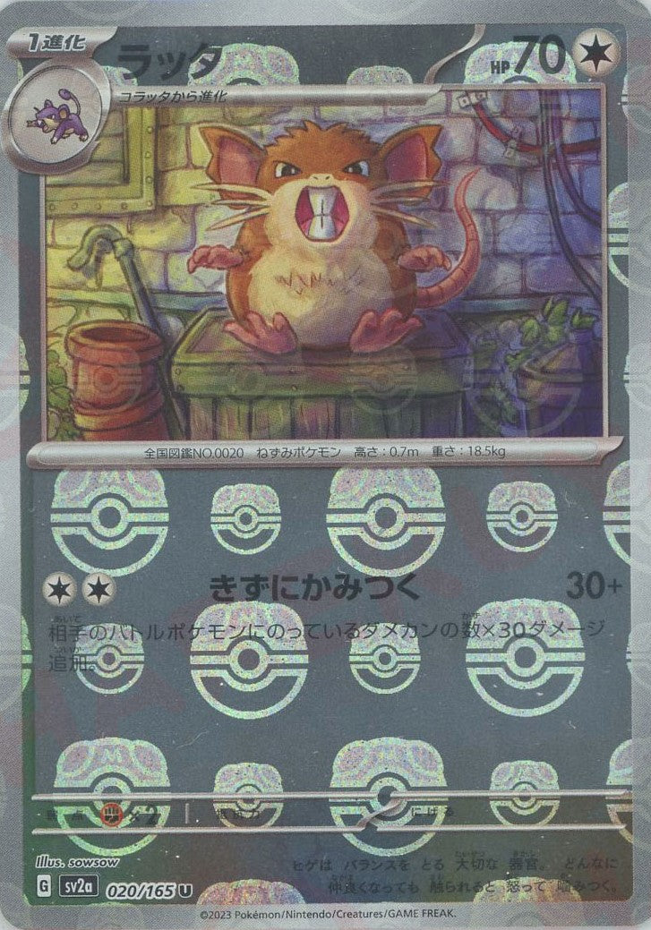 コラッタ C: マスターボールミラー SV2a ポケモンカード151 PSA10