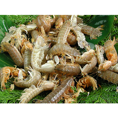 はりかい｜瀬戸内海のシャコ、牡蠣、渡り蟹など旬の天然魚介類の「お