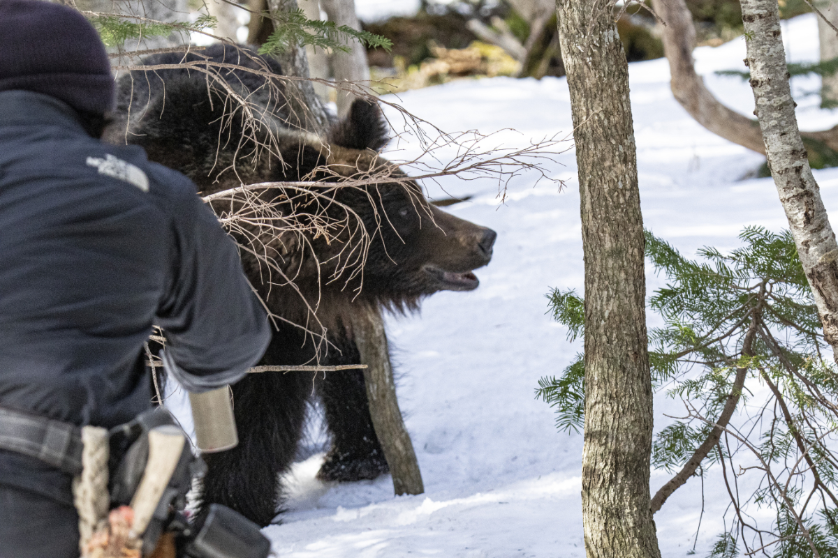 岸本日出雄の北海道風景写真