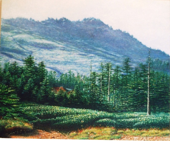 A水の 油絵（四万十川 風景画 ぶな）のページ