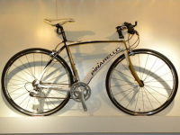 10・PINARELLO TREVISO入荷！ | 札幌じてんしゃ本舗