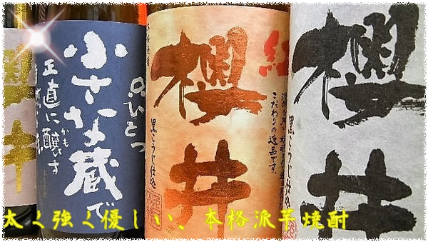 芋焼酎 金峰 櫻井 720ml【櫻井酒造】 十四代,飛露喜,咲耶美