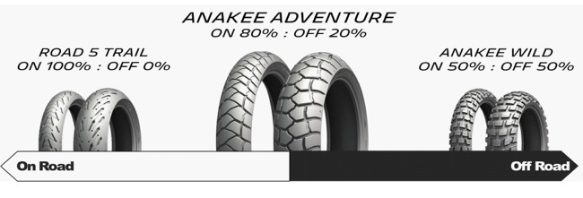 レーシングマックス ミシュラン アナキーワイルド