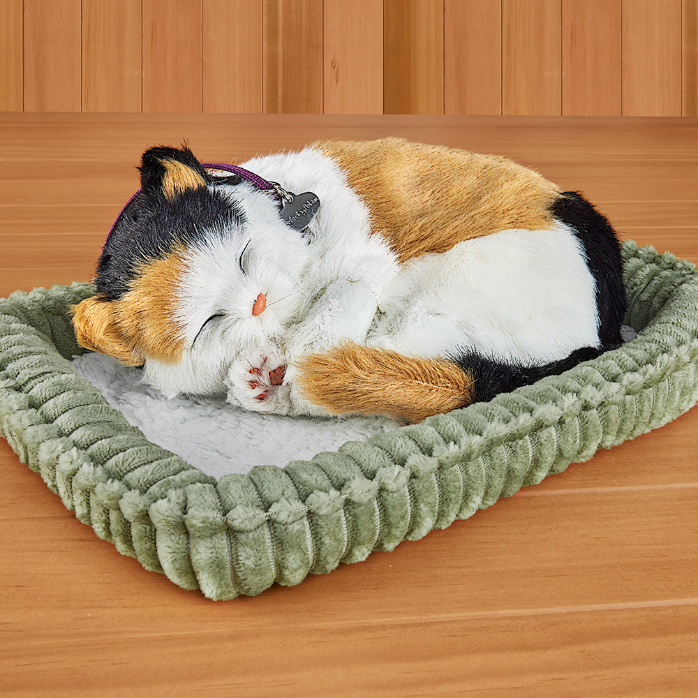 Perfect Petzzz Sleeping Kitten – To The Nines Manitowish Waters