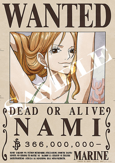 ONE PIECE壁紙 ワンピース壁紙 手配書