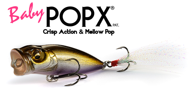 プロショップレージ オンラインショップ / Megabass / BABY POP-X