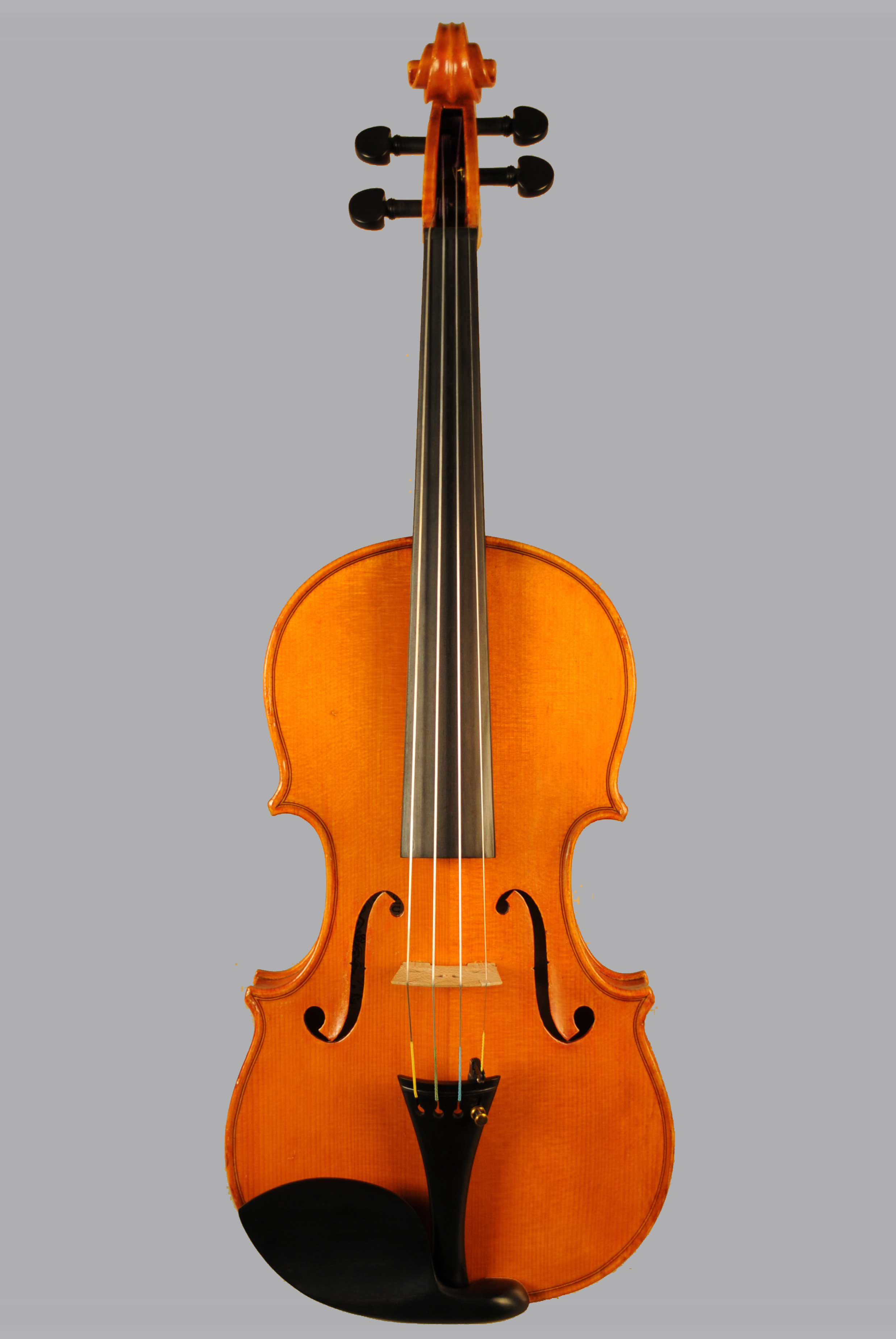 No.1004 GIUSEPPE LUCCI | 下倉バイオリン 弦楽器専門店