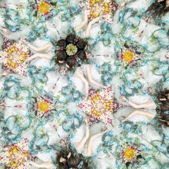 Bitter & Sweet | Aimer | ソニーミュージックオフィシャルサイト