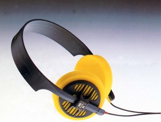 ミッシングリンク