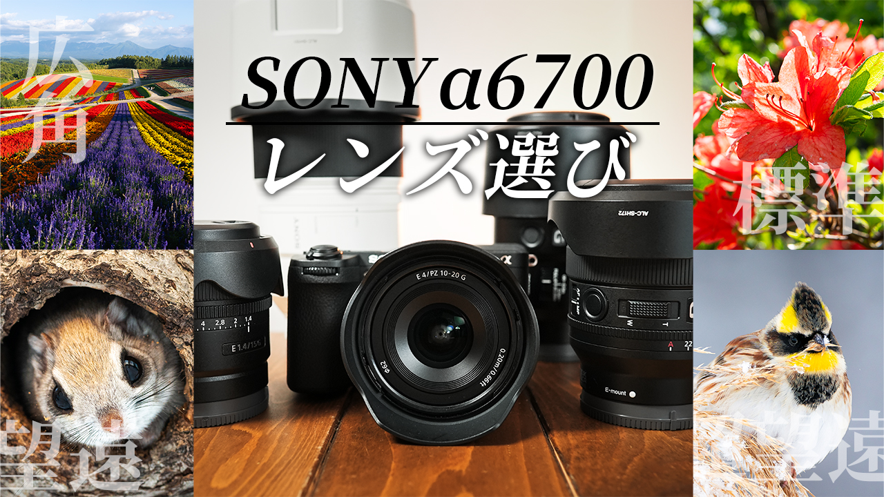 オススメ5本】SONYα6700用レンズの選び方！キットレンズSEL18135って