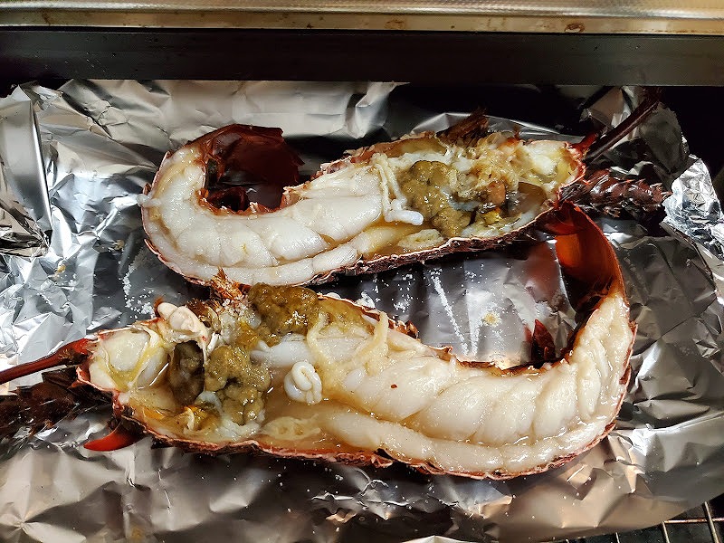 初心者必見】テトラでの伊勢海老の釣り方！私が使っている竿や仕掛けを