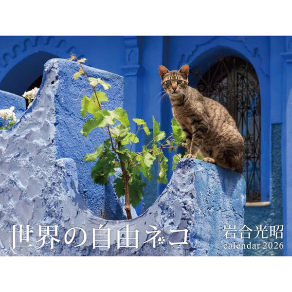 2026世界の自由ネコ岩合光昭カレンダー 通販｜セブンネット