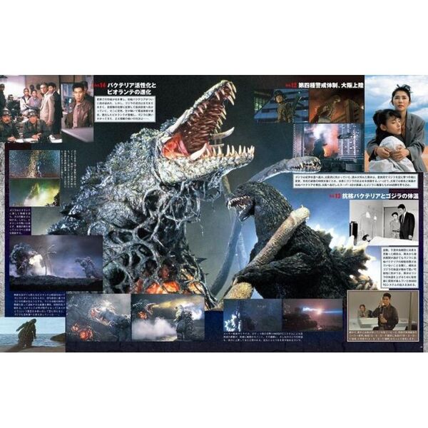 ゴジラ＆東宝特撮OFFICIAL MOOK vol．05 ゴジラvs