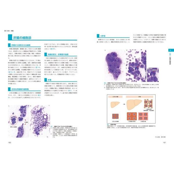 おもち 犬と猫の実践細胞診アトラスとCAP2024年11月号 おもち 犬と猫の
