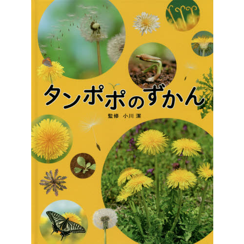 タンポポのずかん 通販｜セブンネットショッピング