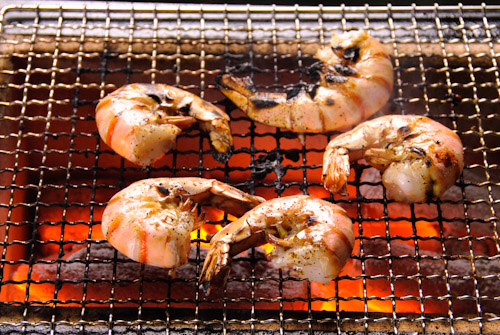 ポーラスセラミックス炭火コンロ長角七輪 BQ8F 2～4人用 網付