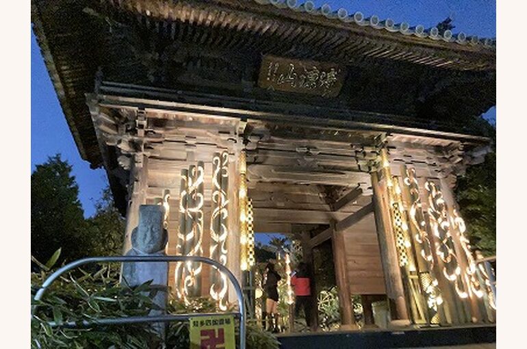 豊明市/とよあけ千の灯】 竹灯籠が灯す幻想夜 野村開発 | 住まいる