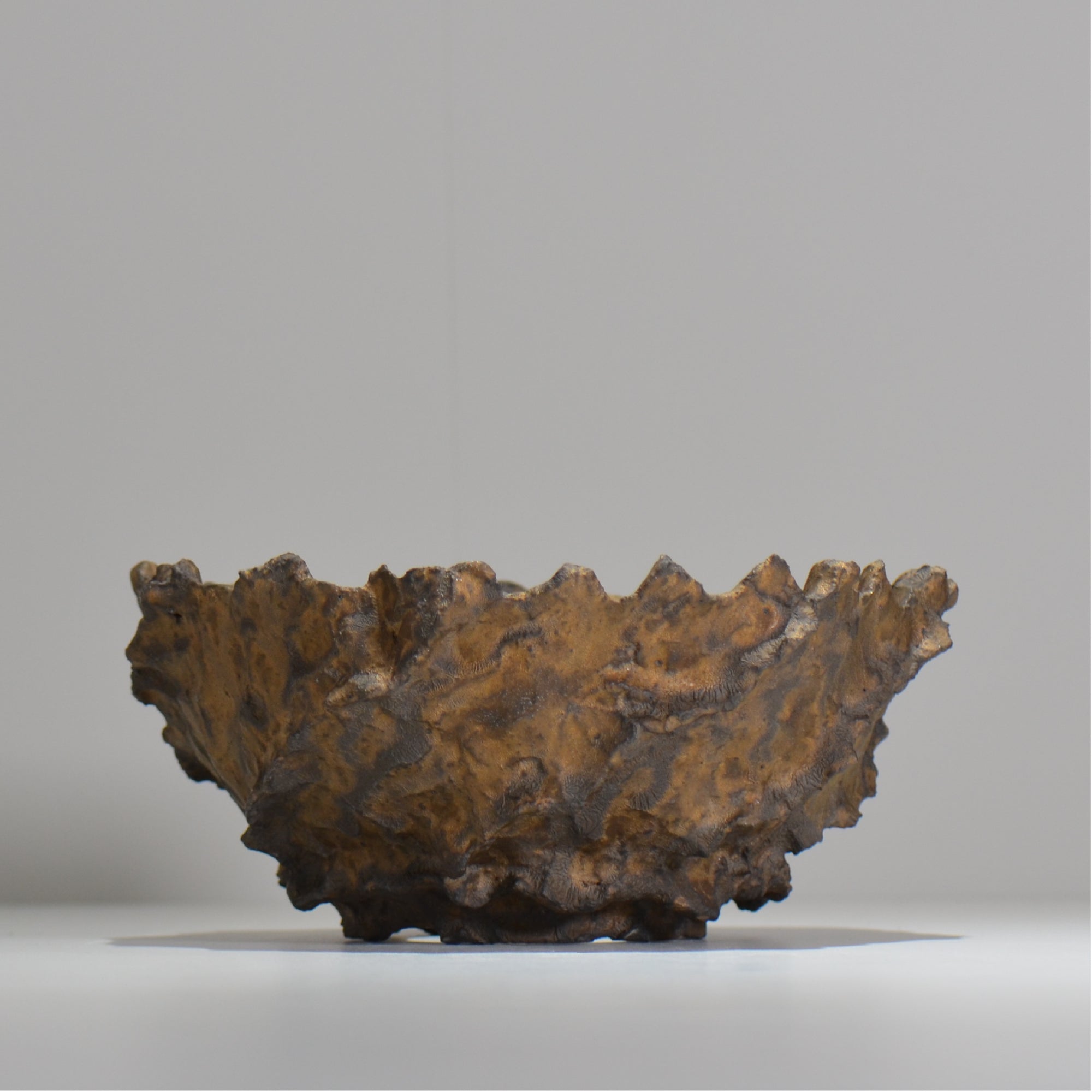 φ21cm~23.9cm – ハチラボ