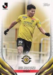 ミントモール / 検索結果 細谷真大