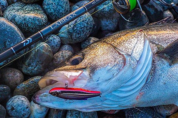 ラブラックス AGS(ロッド)｜DAIWA