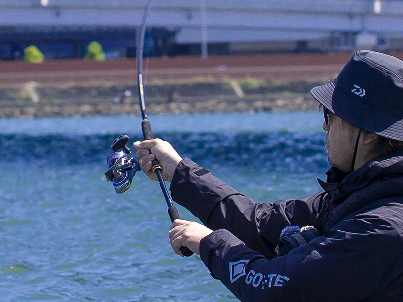 ラテオ(ロッド)｜DAIWA