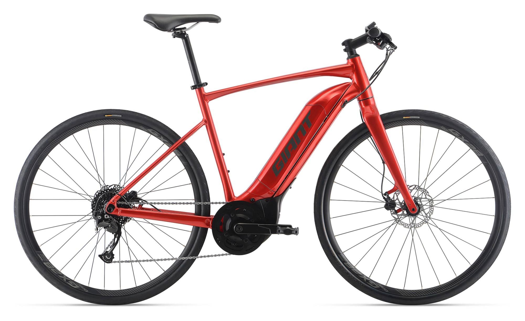 GIANT(ジャイアント) 2025年モデル 在庫・価格一覧 全商品15%OFF(E