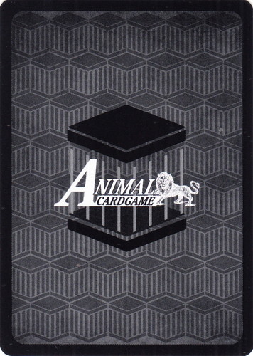 カード種類「領土」(24 枚)｜アニマルカードゲーム